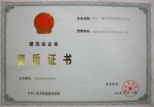 在隶属公司授权范围内经营保险代理业务的现状与业绩分析