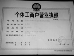 保险代理业务 在授权框架下的经营范围与业绩分析